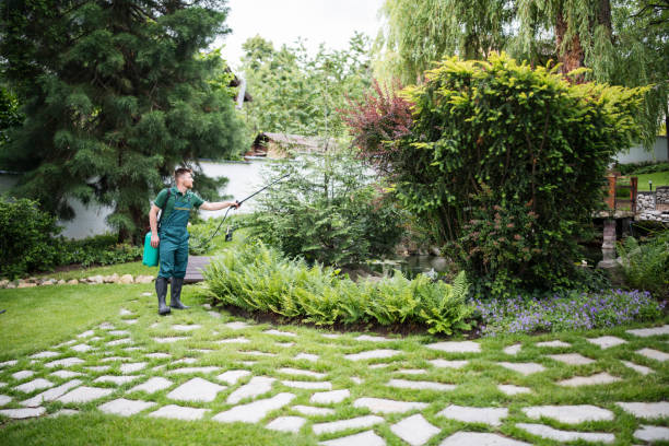 Best Mosquito Control Services  in Oglesby, IL