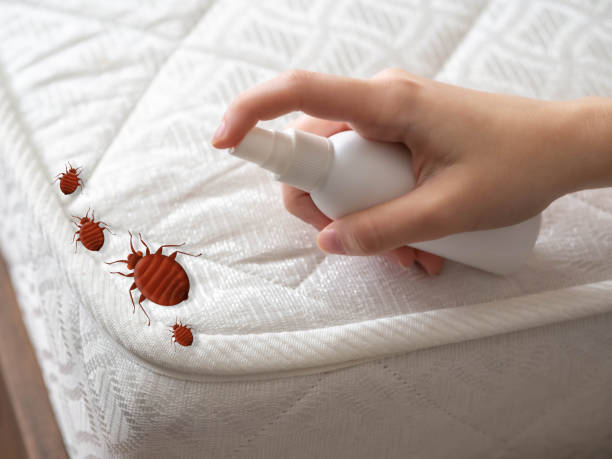 Best Ant Control Services  in Oglesby, IL