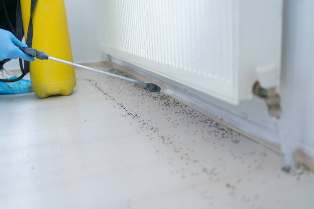 Best Affordable Pest Control Services  in Oglesby, IL