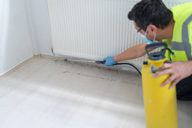 Best Pest Prevention Services  in Oglesby, IL