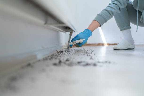Best Best Pest Control Companies  in Oglesby, IL